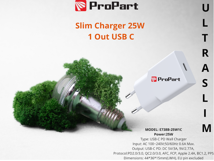 Slim Carica Batterie 25W 1 Out USB C