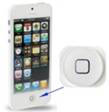 Pulsante Home per iPhone 5 Bianco